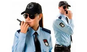 Dia do Trabalho com bons motivos para comemorar