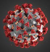 Polícia Federal prorroga validade das reciclagens até junho